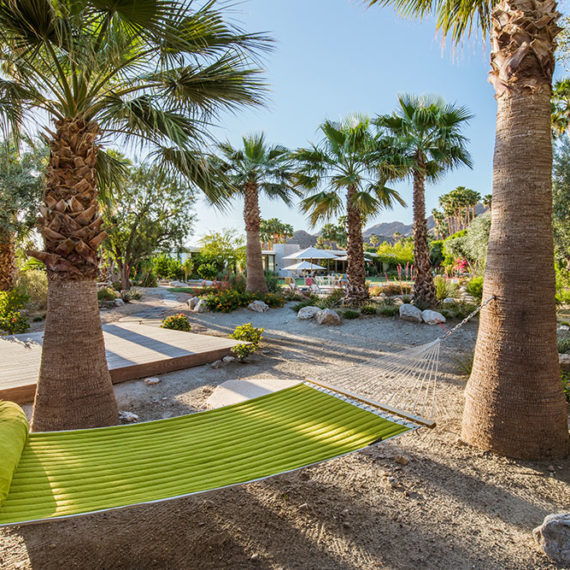 Thunderbird Heights Stuart Silk Architects